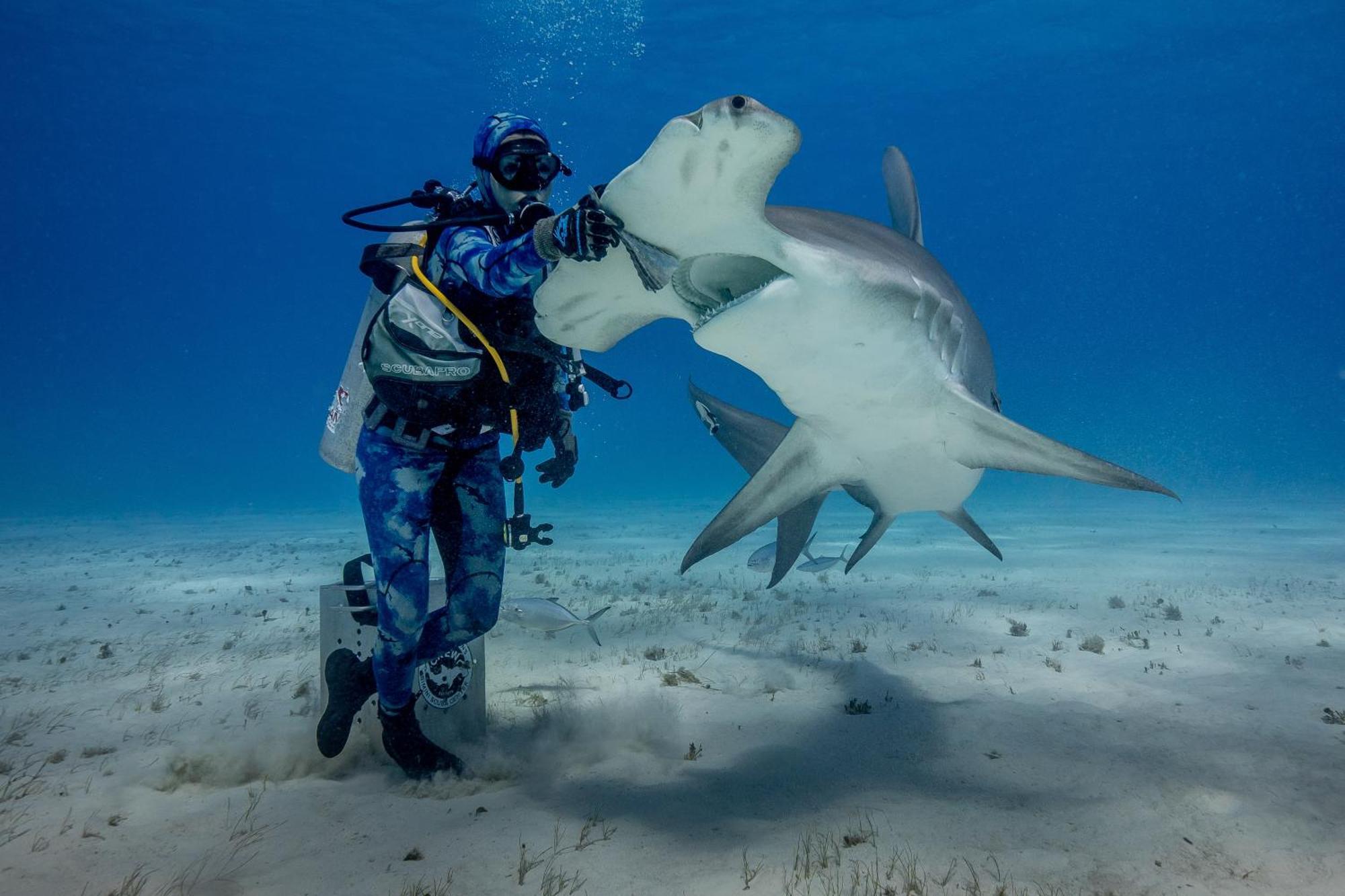 Bimini Big Game Club Resort & Marina Алис-Таун Экстерьер фото