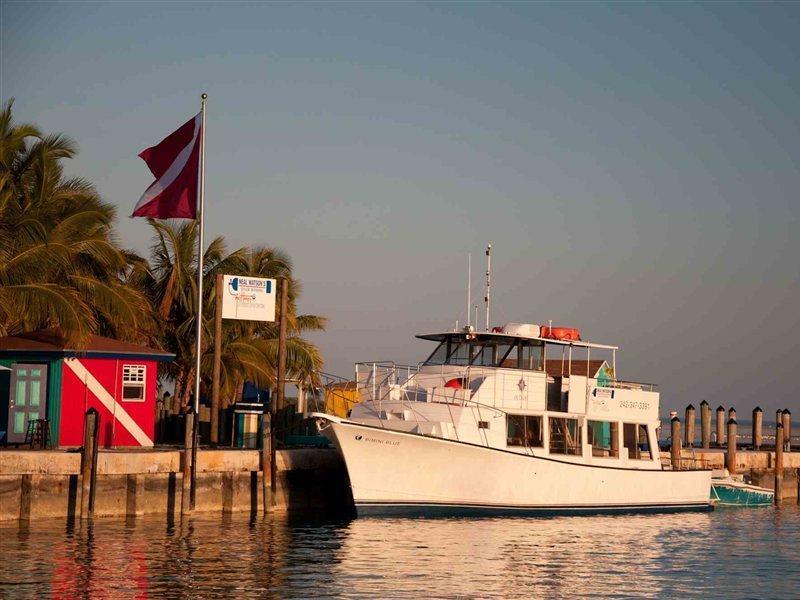 Bimini Big Game Club Resort & Marina Алис-Таун Удобства фото