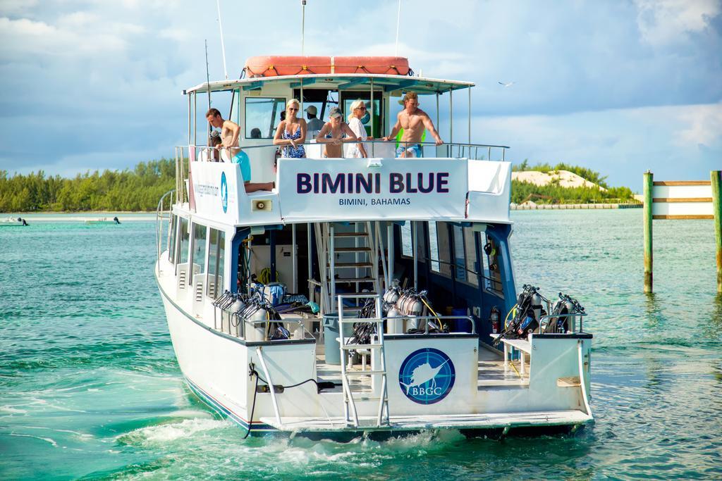 Bimini Big Game Club Resort & Marina Алис-Таун Экстерьер фото